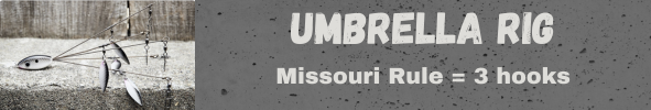 Copy_of_AOY_2024_home_banner.png